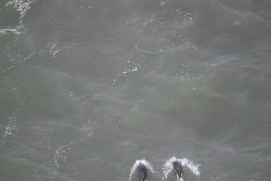 Missing Picture